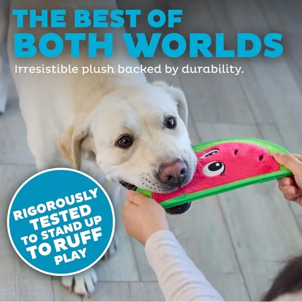 NWT Outward Hound Pink and Green Watermelon Dog Toy